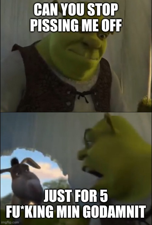 Just wanna peace | CAN YOU STOP PISSING ME OFF; JUST FOR 5 FU*KING MIN GODAMNIT | image tagged in shrek yelling at donkey | made w/ Imgflip meme maker