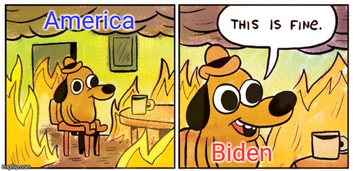 This Is Fine Meme | America; Biden | image tagged in memes,this is fine | made w/ Imgflip meme maker