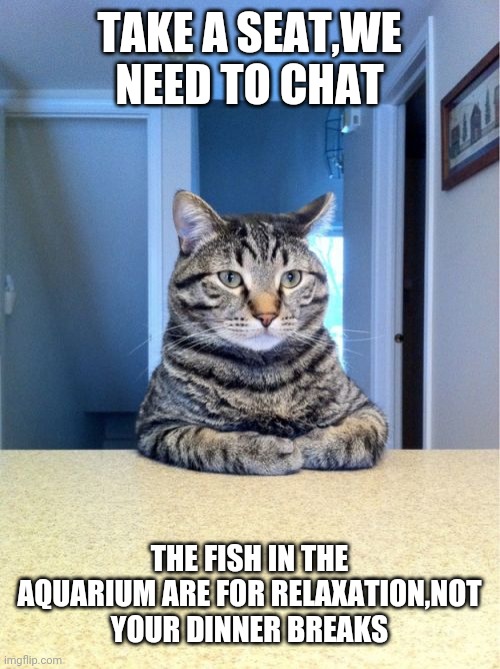 Take A Seat Cat | TAKE A SEAT,WE NEED TO CHAT; THE FISH IN THE AQUARIUM ARE FOR RELAXATION,NOT YOUR DINNER BREAKS | image tagged in memes,take a seat cat | made w/ Imgflip meme maker