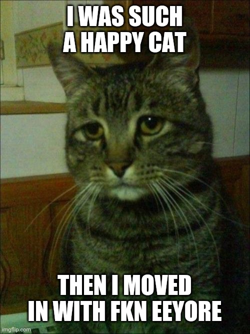 Depressed Cat | I WAS SUCH A HAPPY CAT; THEN I MOVED IN WITH FKN EEYORE | image tagged in memes,depressed cat | made w/ Imgflip meme maker