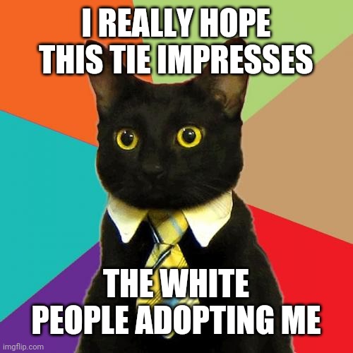 Business Cat | I REALLY HOPE THIS TIE IMPRESSES; THE WHITE PEOPLE ADOPTING ME | image tagged in memes,business cat | made w/ Imgflip meme maker