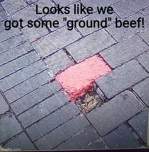 Some good Ground beef ya got there... | Looks like we got some "ground" beef! | image tagged in ground beef | made w/ Imgflip meme maker