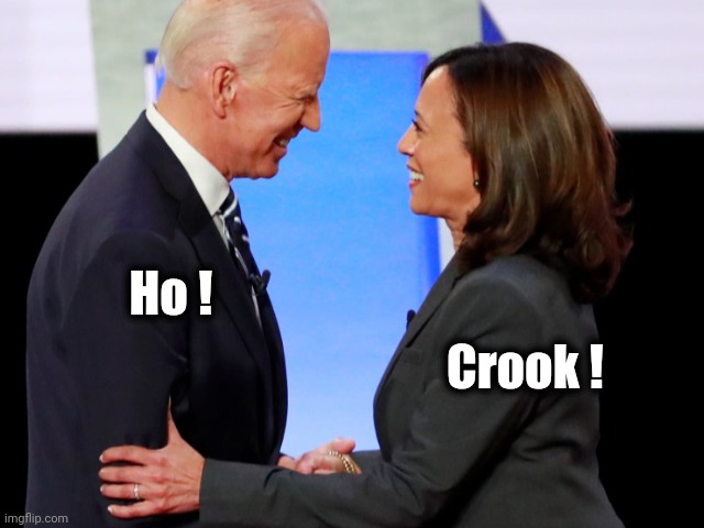 Biden Harris | Ho ! Crook ! | image tagged in biden harris | made w/ Imgflip meme maker