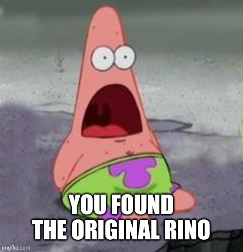 Suprised Patrick | YOU FOUND THE ORIGINAL RINO | image tagged in suprised patrick | made w/ Imgflip meme maker