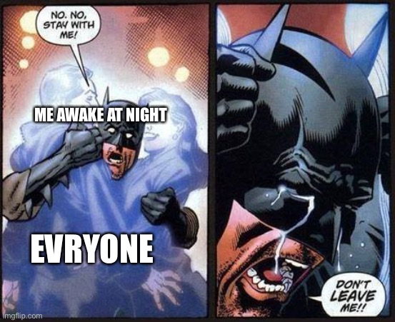 Batman don't leave me | ME AWAKE AT NIGHT; EVRYONE | image tagged in batman don't leave me | made w/ Imgflip meme maker
