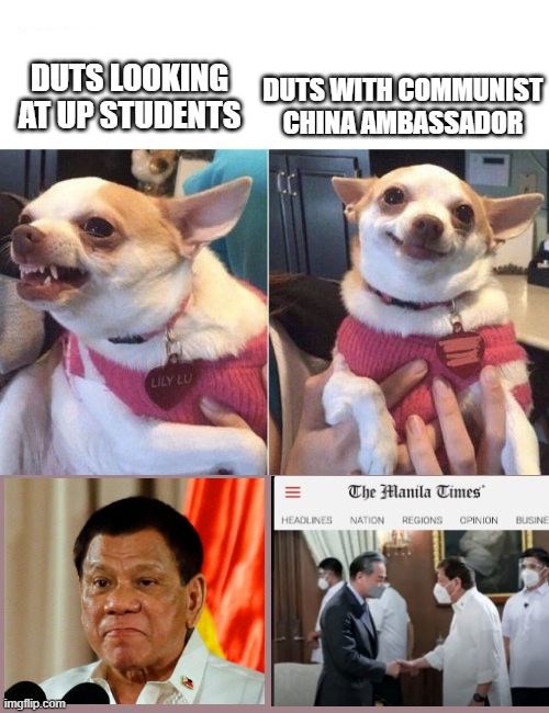 Duterte | DUTS WITH COMMUNIST CHINA AMBASSADOR; DUTS LOOKING AT UP STUDENTS | image tagged in angry chihuahua happy chihuahua | made w/ Imgflip meme maker