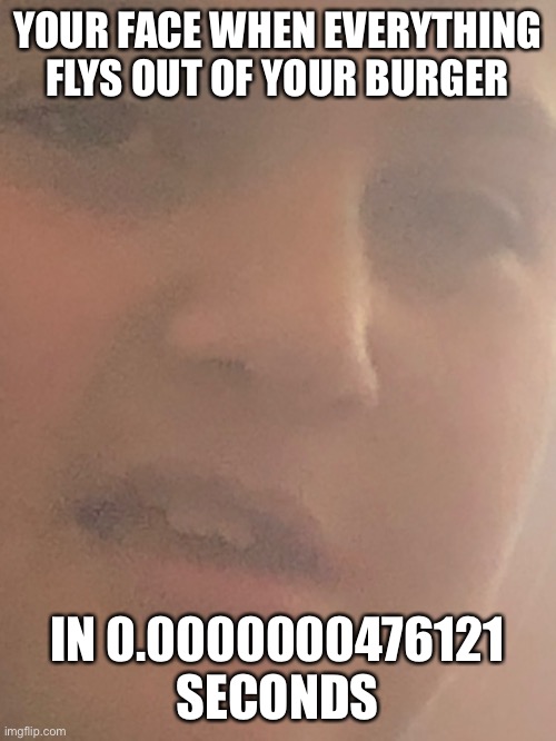 Another Burger meme | YOUR FACE WHEN EVERYTHING FLYS OUT OF YOUR BURGER; IN 0.0000000476121 SECONDS | image tagged in face | made w/ Imgflip meme maker