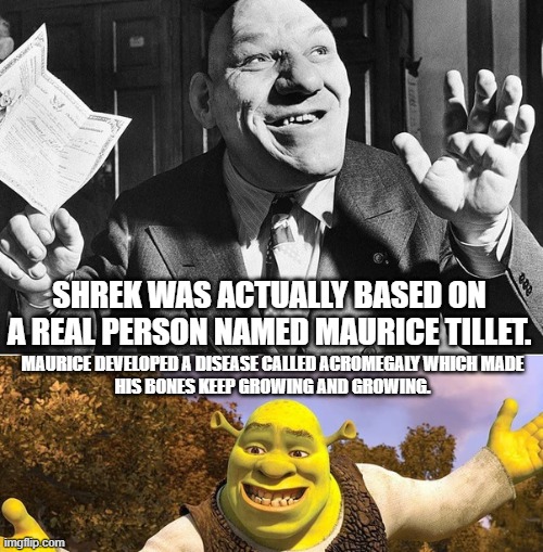 daily trivia | MAURICE DEVELOPED A DISEASE CALLED ACROMEGALY WHICH MADE HIS BONES KEEP GROWING AND GROWING. SHREK WAS ACTUALLY BASED ON A REAL PERSON NAMED MAURICE TILLET. | image tagged in shrek | made w/ Imgflip meme maker