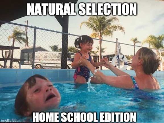 drowning kid in the pool | NATURAL SELECTION; HOME SCHOOL EDITION | image tagged in drowning kid in the pool | made w/ Imgflip meme maker