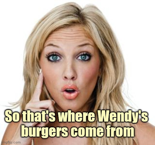 Dumb blonde | So that's where Wendy's 
burgers come from | image tagged in dumb blonde | made w/ Imgflip meme maker