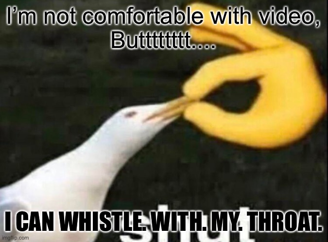 SHUT |  I’m not comfortable with video,
Butttttttt.... I CAN WHISTLE. WITH. MY. THROAT. | image tagged in shut | made w/ Imgflip meme maker