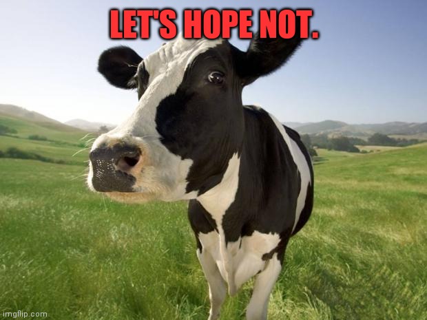 cow | LET'S HOPE NOT. | image tagged in cow | made w/ Imgflip meme maker