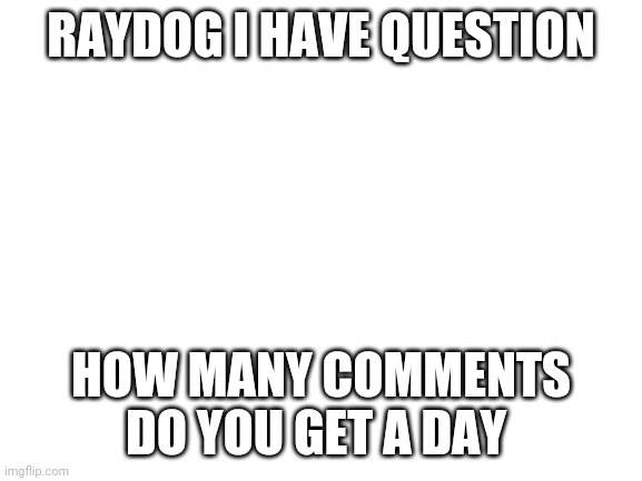 Pls comment | RAYDOG I HAVE QUESTION; HOW MANY COMMENTS DO YOU GET A DAY | image tagged in blank white template | made w/ Imgflip meme maker