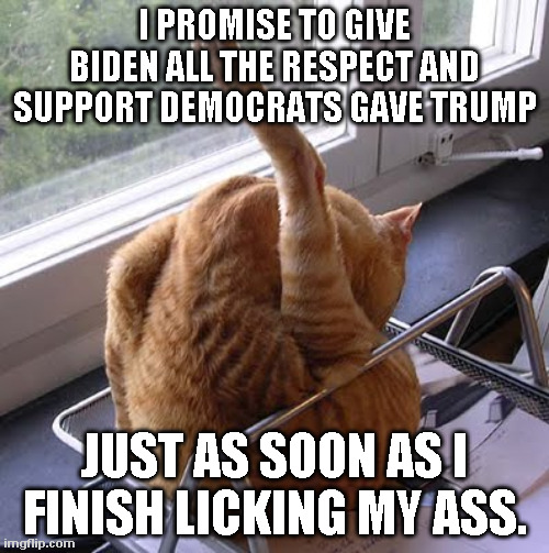 Unity and support | I PROMISE TO GIVE BIDEN ALL THE RESPECT AND SUPPORT DEMOCRATS GAVE TRUMP; JUST AS SOON AS I FINISH LICKING MY ASS. | image tagged in cat,licks ass | made w/ Imgflip meme maker