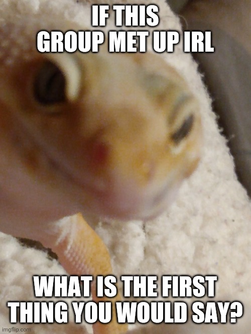 IF THIS GROUP MET UP IRL; WHAT IS THE FIRST THING YOU WOULD SAY? | made w/ Imgflip meme maker
