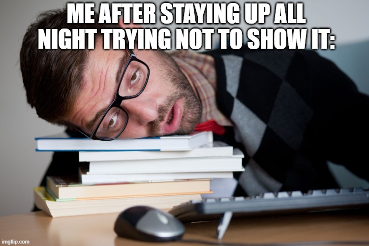 Afternoon slump | ME AFTER STAYING UP ALL NIGHT TRYING NOT TO SHOW IT: | image tagged in afternoon slump | made w/ Imgflip meme maker