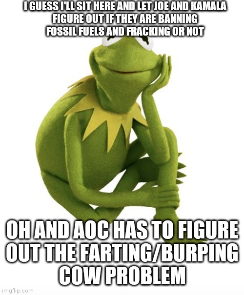 Oh Really Kermit | I GUESS I'LL SIT HERE AND LET JOE AND KAMALA
FIGURE OUT IF THEY ARE BANNING
FOSSIL FUELS AND FRACKING OR NOT OH AND AOC HAS TO FIGURE
OUT TH | image tagged in oh really kermit | made w/ Imgflip meme maker