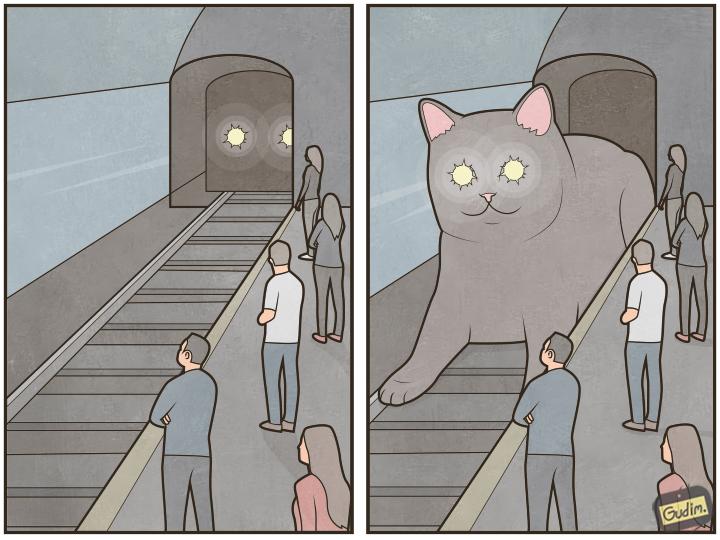 Cat Train Blank Meme Template
