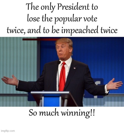 Trump So Much Winning | image tagged in trump so much winning | made w/ Imgflip meme maker
