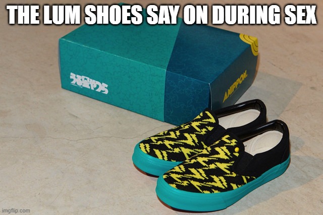 THE LUM SHOES SAY ON DURING SEX | image tagged in funny | made w/ Imgflip meme maker