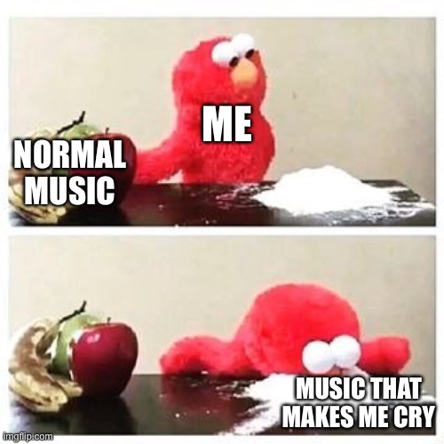 ;-; | ME; NORMAL MUSIC; MUSIC THAT MAKES ME CRY | image tagged in elmo cocaine | made w/ Imgflip meme maker