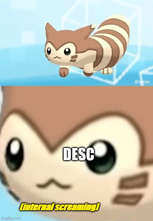 Furret scream | ACCORDING TO ALL KNOWN LAWS OF AVIATION, THERE IS NO WAY THAT A BEE SHOULD BE ABLE TO FLY. ITS WINGS ARE TOO SMALL TO GET ITS FAT LITTLE BOD | image tagged in furret scream | made w/ Imgflip meme maker