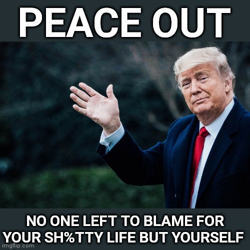 Peace Out | PEACE OUT; NO ONE LEFT TO BLAME FOR YOUR SH%TTY LIFE BUT YOURSELF | image tagged in trump 2024,libtards,woke,blm,antifa,fake news | made w/ Imgflip meme maker