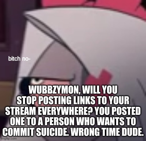 Im asking respectfully. | WUBBZYMON, WILL YOU STOP POSTING LINKS TO YOUR STREAM EVERYWHERE? YOU POSTED ONE TO A PERSON WHO WANTS TO COMMIT SUICIDE. WRONG TIME DUDE. | image tagged in vaggie bitch no | made w/ Imgflip meme maker