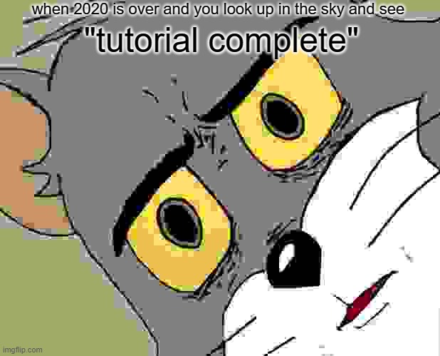 tutorial complete | when 2020 is over and you look up in the sky and see; "tutorial complete" | image tagged in memes,unsettled tom | made w/ Imgflip meme maker