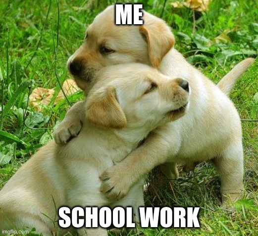 Puppy I love bro |  ME; SCHOOL WORK | image tagged in puppy i love bro | made w/ Imgflip meme maker