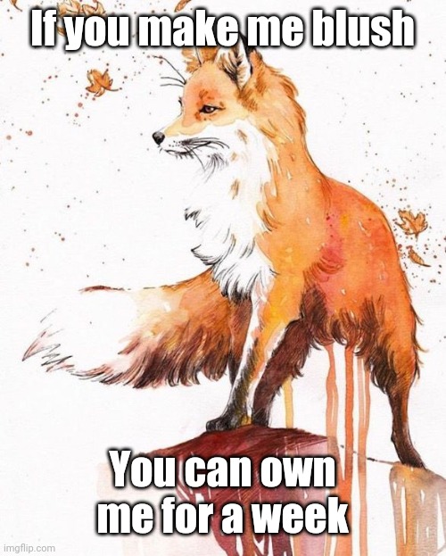 Fox Painting | If you make me blush; You can own me for a week | image tagged in fox painting | made w/ Imgflip meme maker