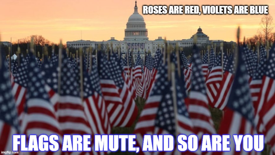 Inauguration? | ROSES ARE RED, VIOLETS ARE BLUE; FLAGS ARE MUTE, AND SO ARE YOU | image tagged in flags | made w/ Imgflip meme maker