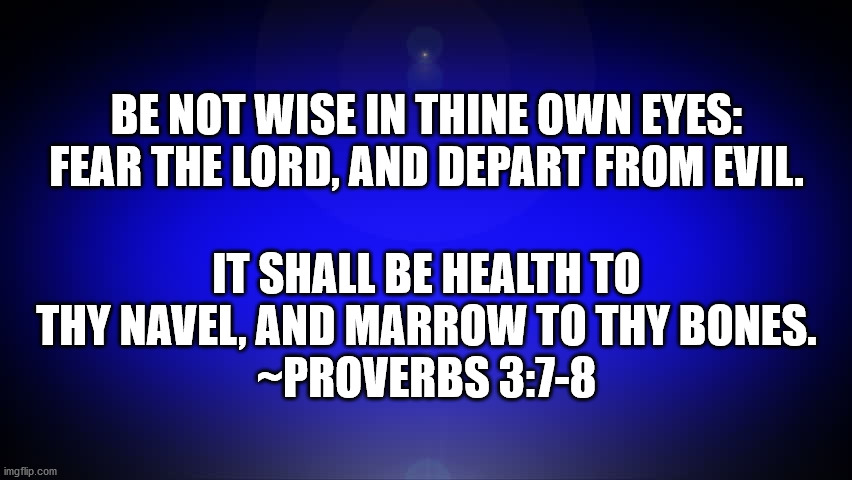 Bible Verse Proverbs 3:7-8 | BE NOT WISE IN THINE OWN EYES: FEAR THE LORD, AND DEPART FROM EVIL. IT SHALL BE HEALTH TO THY NAVEL, AND MARROW TO THY BONES.
~PROVERBS 3:7-8 | image tagged in bible verse,proverbs c3 v7-9 | made w/ Imgflip meme maker