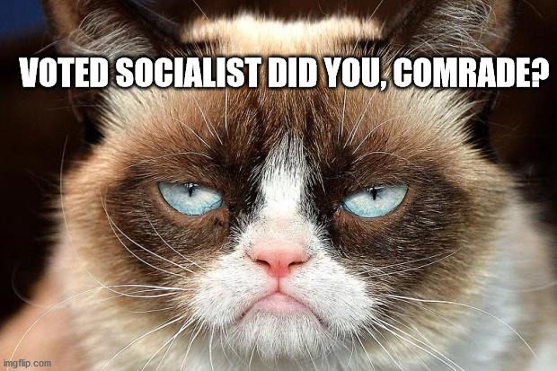 Grumpy Cat Not Amused | VOTED SOCIALIST DID YOU, COMRADE? | image tagged in memes,grumpy cat not amused,grumpy cat | made w/ Imgflip meme maker