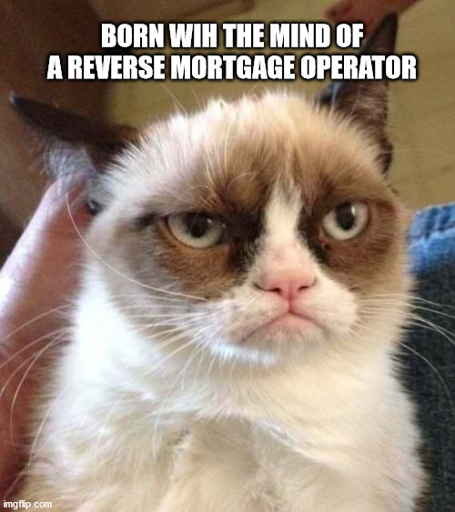 Grumpy Cat Reverse | BORN WIH THE MIND OF A REVERSE MORTGAGE OPERATOR | image tagged in memes,grumpy cat reverse,grumpy cat | made w/ Imgflip meme maker