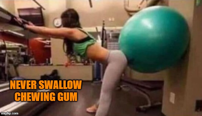 NEVER SWALLOW CHEWING GUM | made w/ Imgflip meme maker