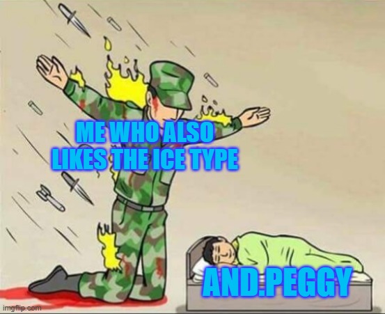 Soldier protecting sleeping child | ME WHO ALSO LIKES THE ICE TYPE AND.PEGGY | image tagged in soldier protecting sleeping child | made w/ Imgflip meme maker