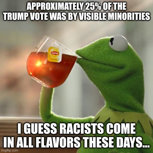 Das Racist | APPROXIMATELY 25% OF THE TRUMP VOTE WAS BY VISIBLE MINORITIES; I GUESS RACISTS COME IN ALL FLAVORS THESE DAYS... | image tagged in but that's none of my business,democratic logic,liberal logic | made w/ Imgflip meme maker