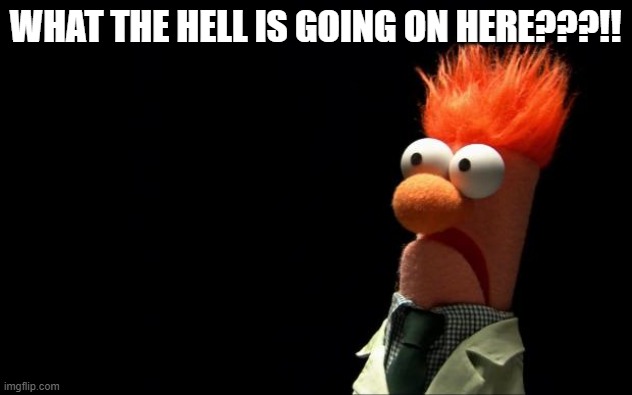 Beaker shocked face | WHAT THE HELL IS GOING ON HERE???!! | image tagged in beaker shocked face | made w/ Imgflip meme maker