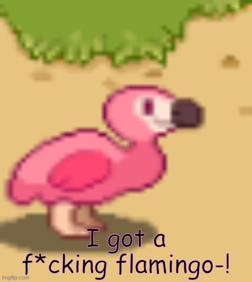 BLACK, WHITE, GREEN OR BLUE, SHOW OFF YOUR NATURAL HUE FLAMINGO- OH OH WOAHHH- | I got a f*cking flamingo-! | image tagged in clouds flamingo | made w/ Imgflip meme maker