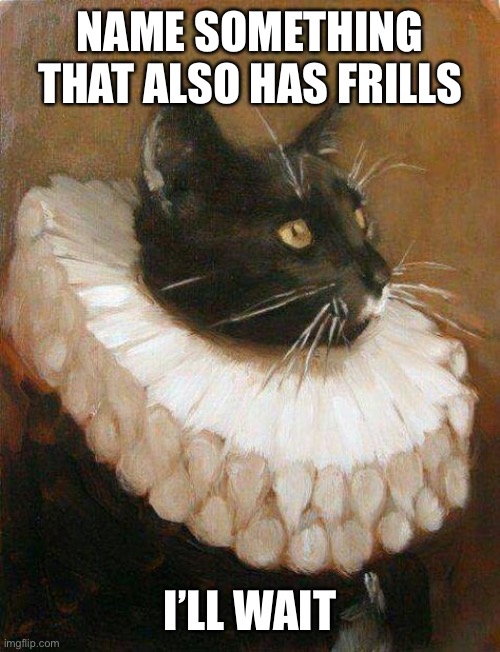 Frilly Cat | NAME SOMETHING THAT ALSO HAS FRILLS; I’LL WAIT | image tagged in frilly cat | made w/ Imgflip meme maker