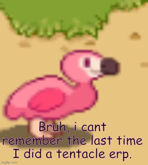 clouddays flamingo | Bruh, i cant remember the last time I did a tentacle erp. | image tagged in clouds flamingo | made w/ Imgflip meme maker