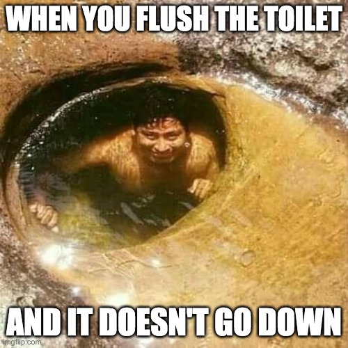 Flush scare | WHEN YOU FLUSH THE TOILET; AND IT DOESN'T GO DOWN | image tagged in funny,funny memes | made w/ Imgflip meme maker