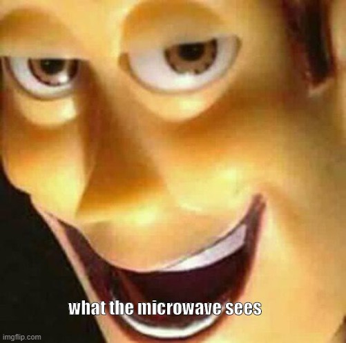 what the microwave sees | what the microwave sees | image tagged in what the microwave sees | made w/ Imgflip meme maker