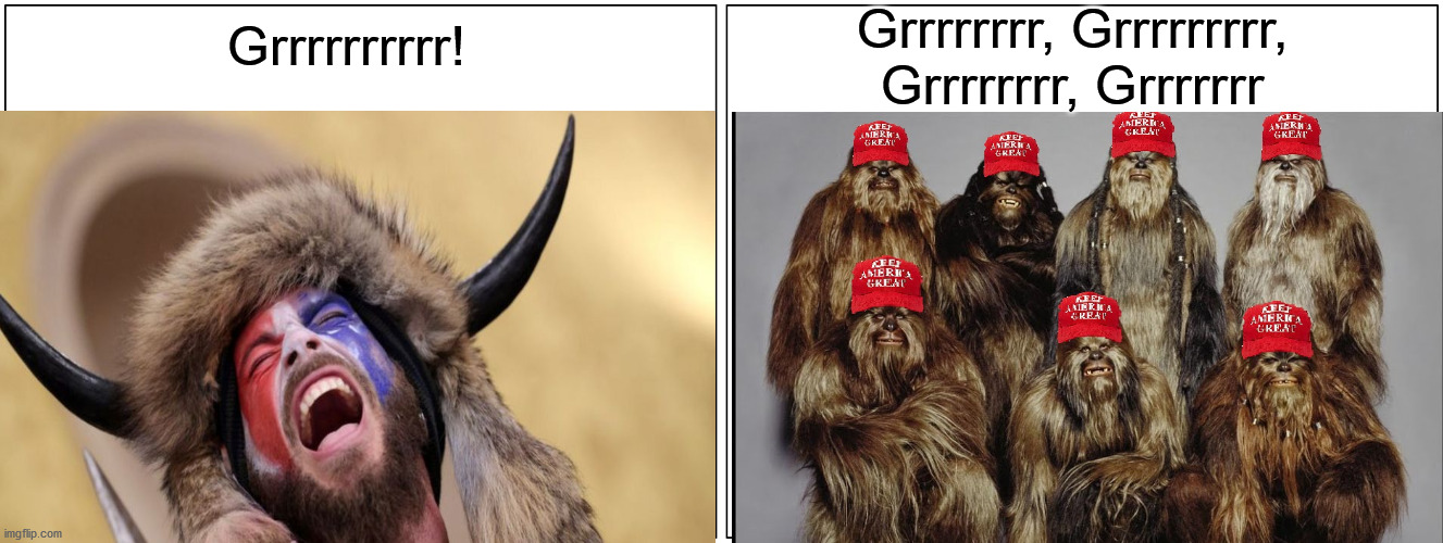 WTF?! | Grrrrrrrr, Grrrrrrrrr, Grrrrrrrr, Grrrrrrr; Grrrrrrrrrr! | image tagged in political humor,trump supporters,donald trump,us capitol guy,wtf,chewbacca | made w/ Imgflip meme maker