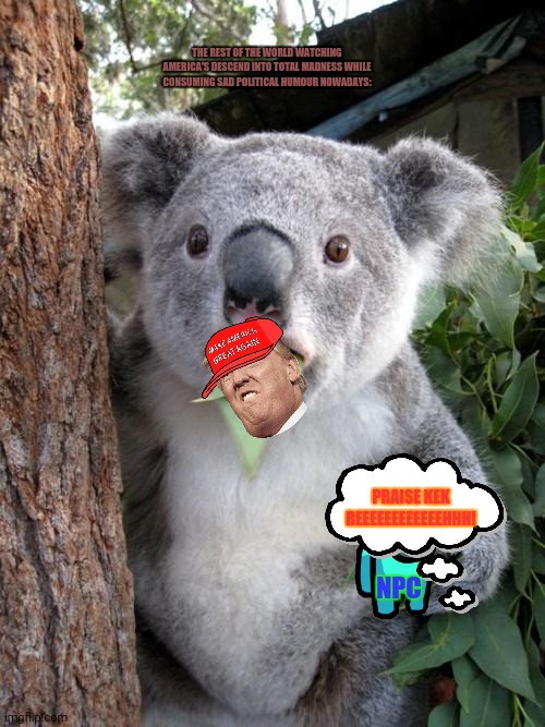 Surprised Koala |  THE REST OF THE WORLD WATCHING AMERICA'S DESCEND INTO TOTAL MADNESS WHILE CONSUMING SAD POLITICAL HUMOUR NOWADAYS:; PRAISE KEK REEEEEEEEEEEEHHH! NPC | image tagged in memes,wtf koala,american politics | made w/ Imgflip meme maker