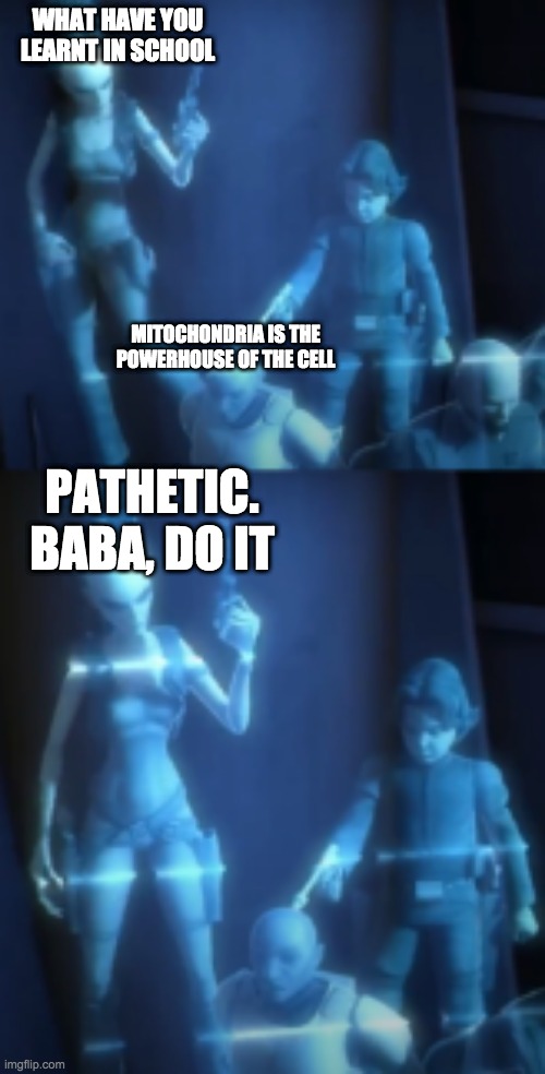 Ponds' death | WHAT HAVE YOU LEARNT IN SCHOOL; MITOCHONDRIA IS THE POWERHOUSE OF THE CELL; PATHETIC. BABA, DO IT | image tagged in ponds' death,mitochondria,education | made w/ Imgflip meme maker