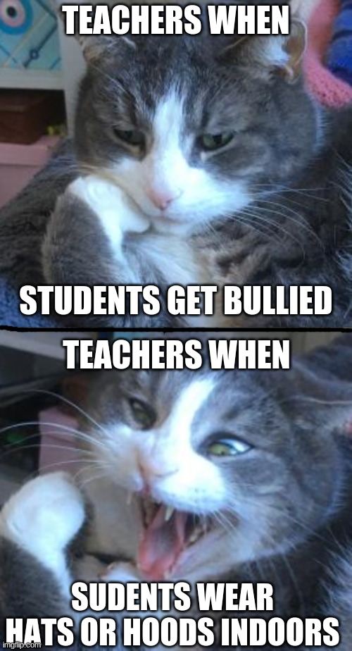 Another meme about school lol (again credit to my friend for these pics). I'll post a template later. | TEACHERS WHEN; STUDENTS GET BULLIED; TEACHERS WHEN; SUDENTS WEAR HATS OR HOODS INDOORS | image tagged in memes,funny,school,teachers,no chill,the truth | made w/ Imgflip meme maker