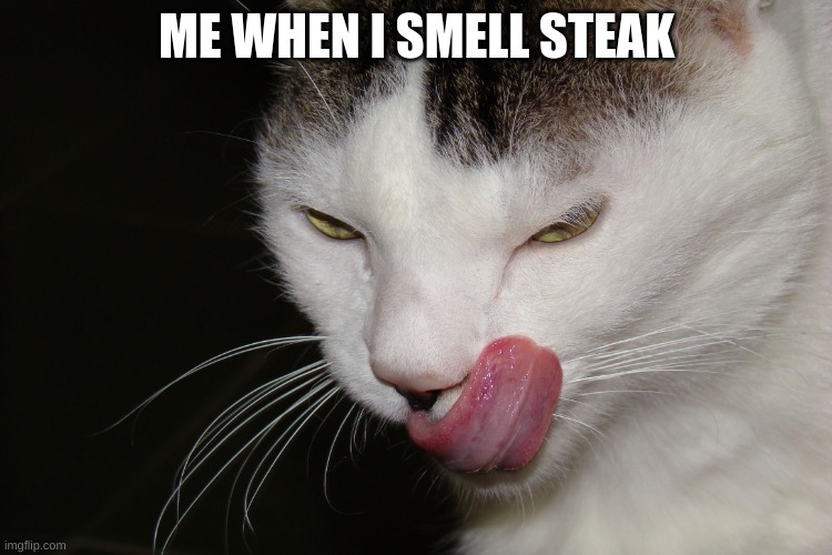 YUMMY | ME WHEN I SMELL STEAK | image tagged in yummy | made w/ Imgflip meme maker