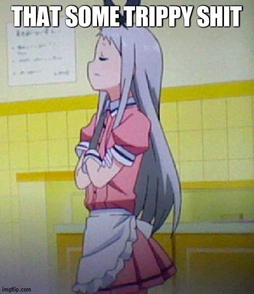hideri is not impressed | THAT SOME TRIPPY SHIT | image tagged in hideri is not impressed | made w/ Imgflip meme maker